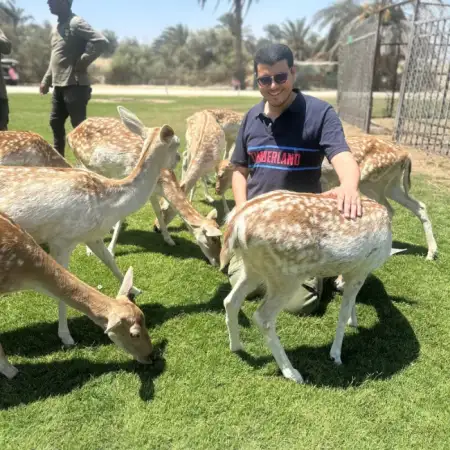 Omar, 33ОАЭ