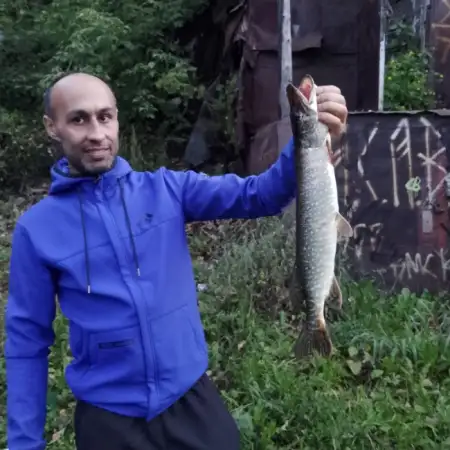 Шамсидин, 36Россия 