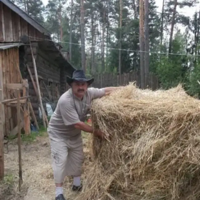Сули